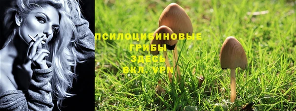 spice Алзамай