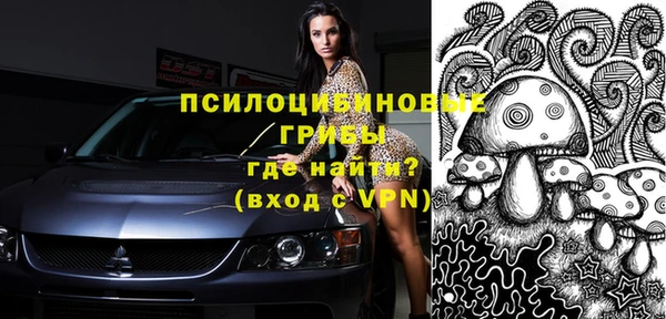 прущие крисы Алексин