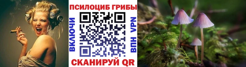 Галлюциногенные грибы MAGIC MUSHROOMS  как найти   Медынь 